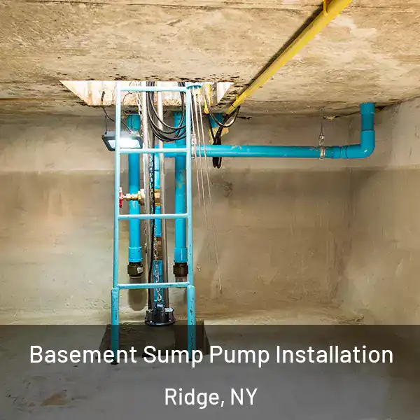  Basement Sump Pump Installation Ridge, NY