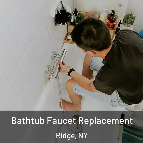  Bathtub Faucet Replacement Ridge, NY