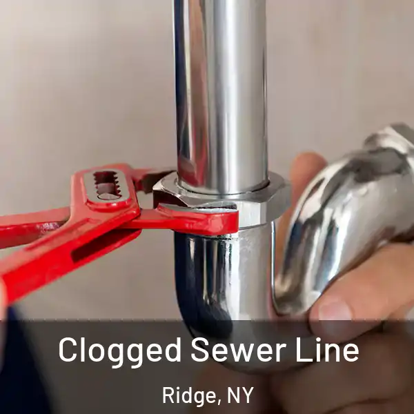  Clogged Sewer Line Ridge, NY