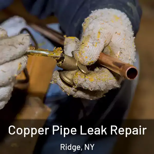  Copper Pipe Leak Repair Ridge, NY