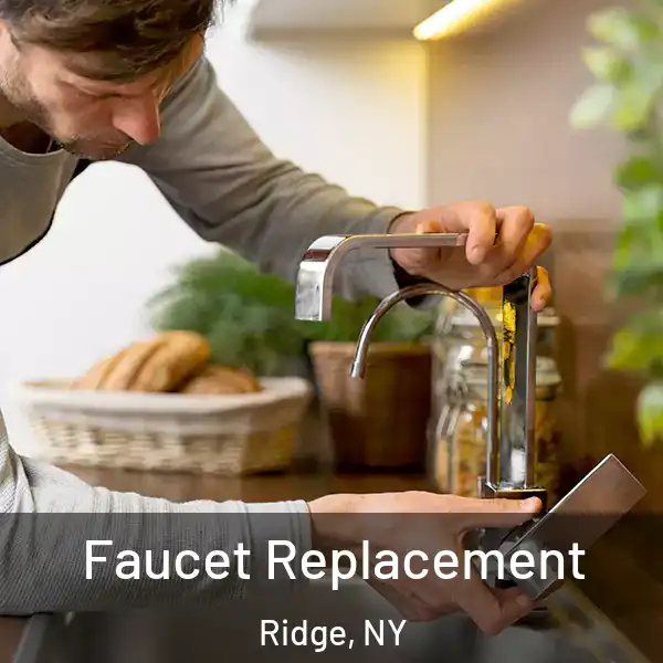  Faucet Replacement Ridge, NY
