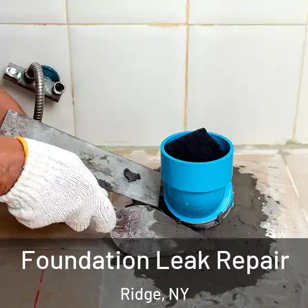  Foundation Leak Repair Ridge, NY
