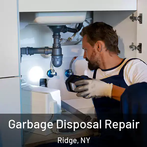  Garbage Disposal Repair Ridge, NY