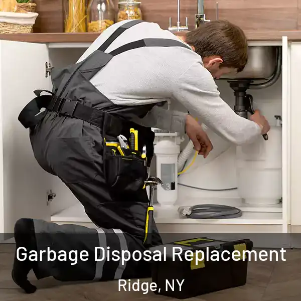  Garbage Disposal Replacement Ridge, NY