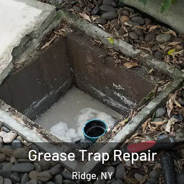  Grease Trap Repair Ridge, NY