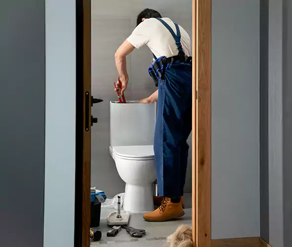 Professional Plumbers for Toilet Bowl Replacement in Ridge, NY: Schedule Affordable Toilet Replacement Services With Us