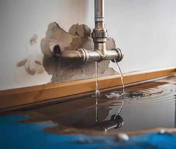 Professional Water Damage Restoration Experts in Ridge, NY — Fast, Reliable & Certified