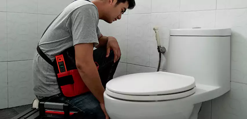 Toilet Repair in Ridge