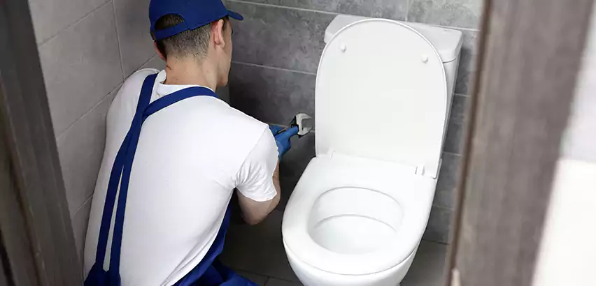 Toilet Lid Replacement in Ridge