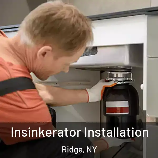  Insinkerator Installation Ridge, NY