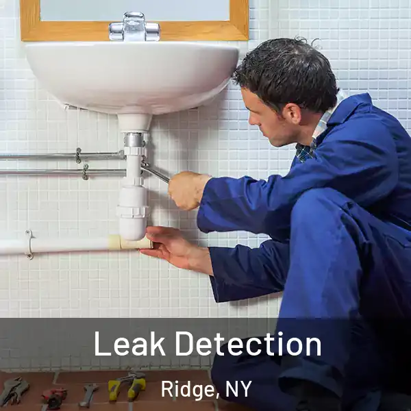  Leak Detection Ridge, NY