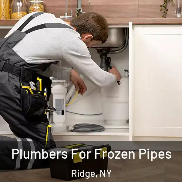  Plumbers For Frozen Pipes Ridge, NY