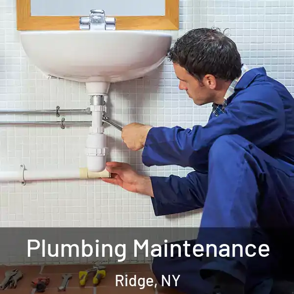  Plumbing Maintenance Ridge, NY
