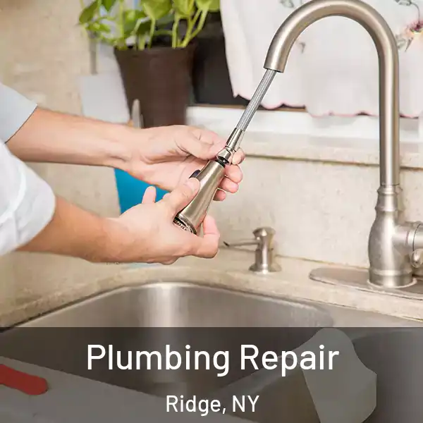  Plumbing Repair Ridge, NY