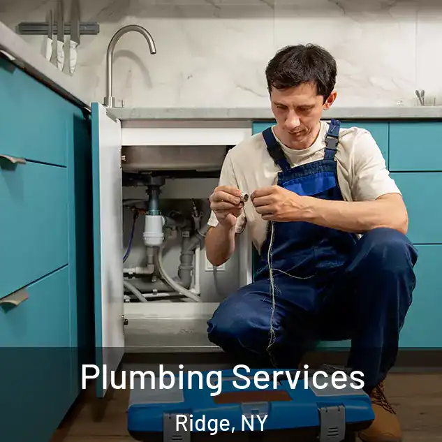 Plumbing Services Ridge, NY