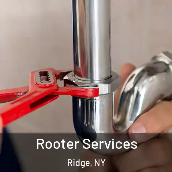  Rooter Services Ridge, NY