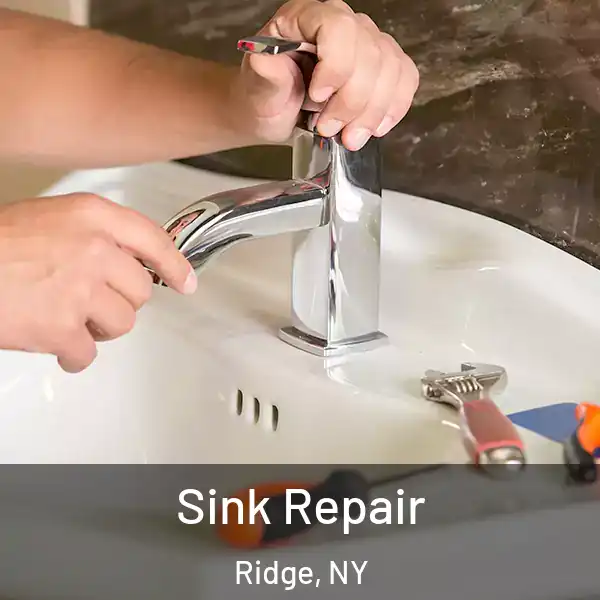  Sink Repair Ridge, NY