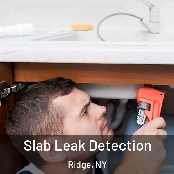  Slab Leak Detection Ridge, NY