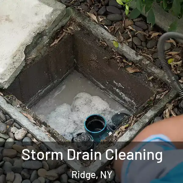  Storm Drain Cleaning Ridge, NY
