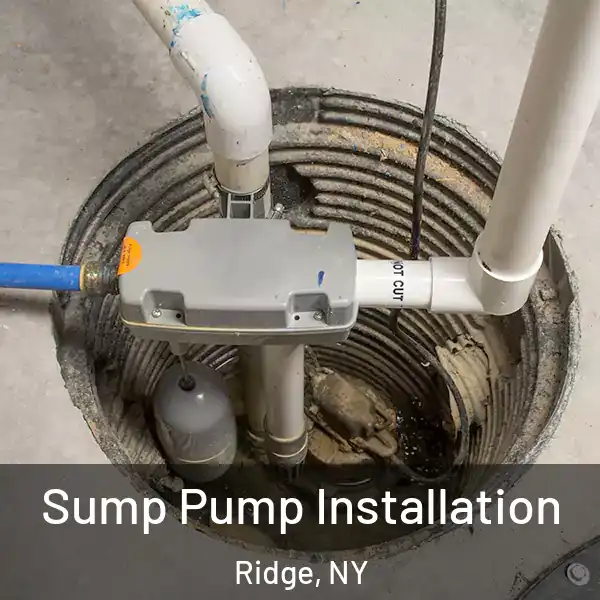  Sump Pump Installation Ridge, NY
