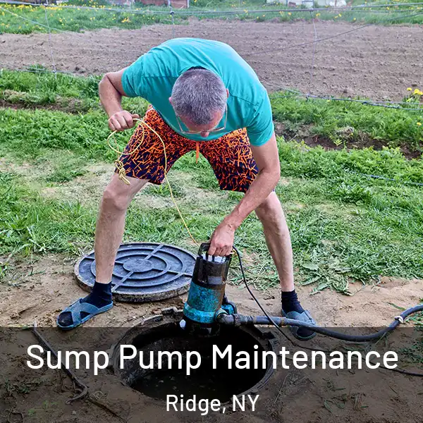  Sump Pump Maintenance Ridge, NY