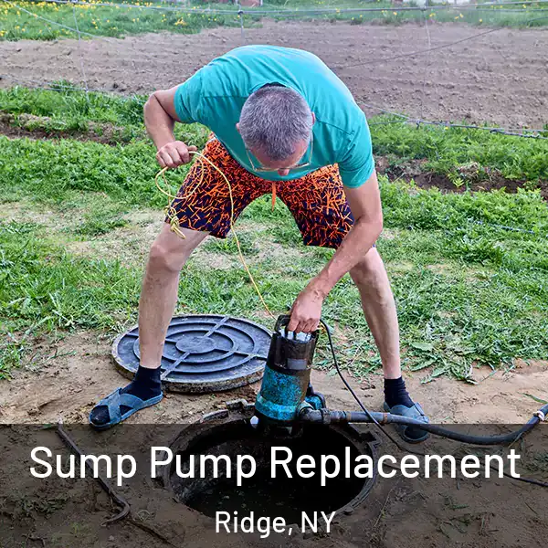  Sump Pump Replacement Ridge, NY