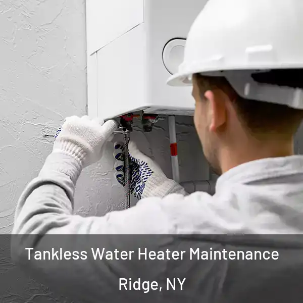  Tankless Water Heater Maintenance Ridge, NY