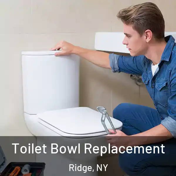  Toilet Bowl Replacement Ridge, NY