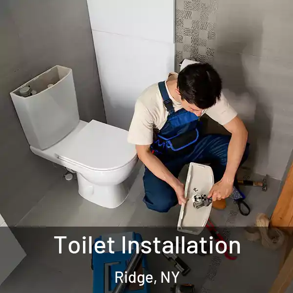  Toilet Installation Ridge, NY