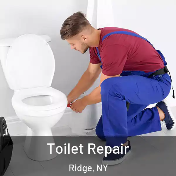  Toilet Repair Ridge, NY