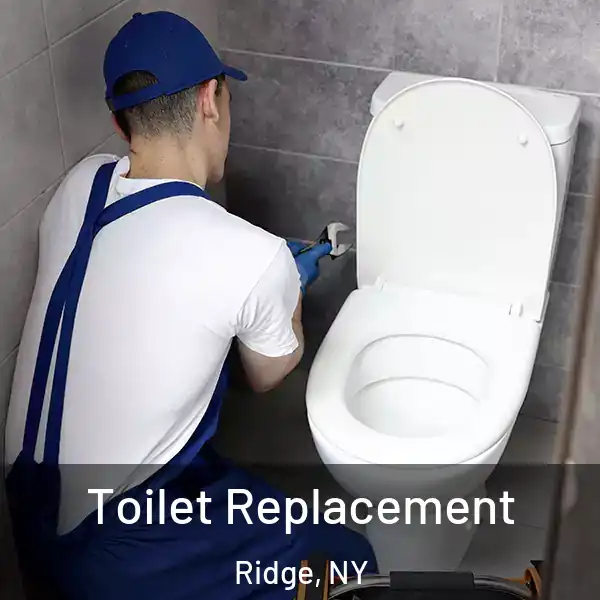  Toilet Replacement Ridge, NY