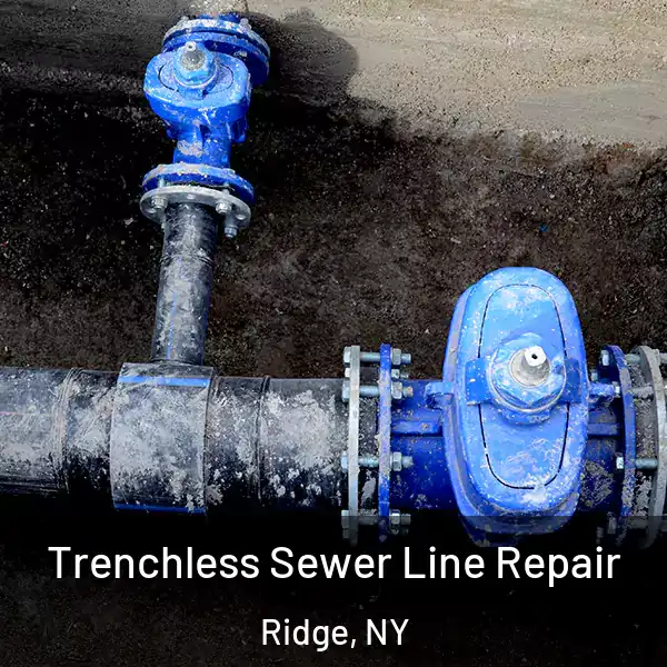  Trenchless Sewer Line Repair Ridge, NY