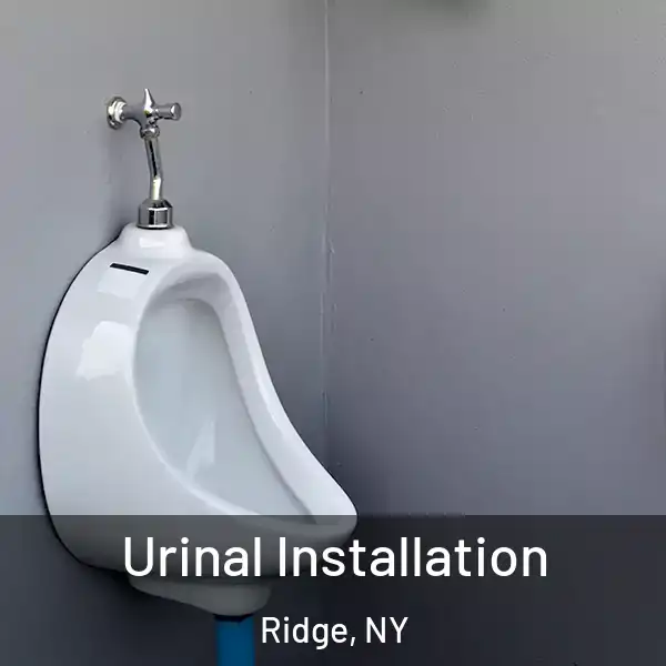  Urinal Installation Ridge, NY