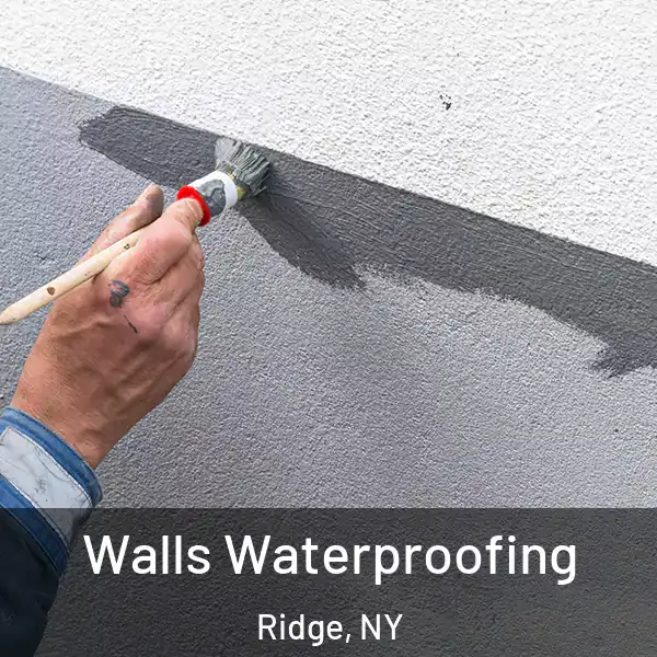  Walls Waterproofing Ridge, NY