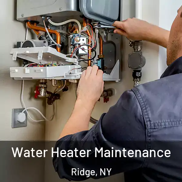  Water Heater Maintenance Ridge, NY