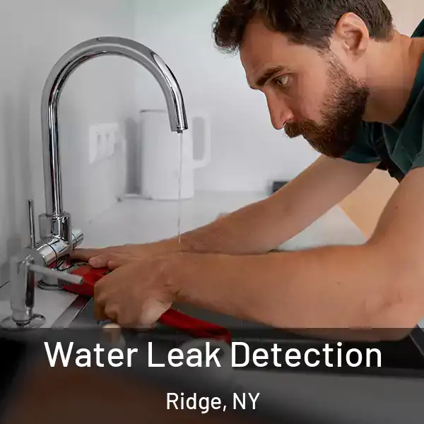  Water Leak Detection Ridge, NY