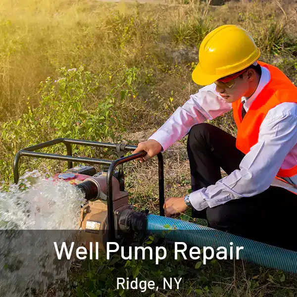  Well Pump Repair Ridge, NY